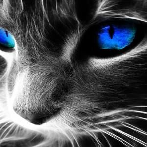 Meet your Posher, Sonia